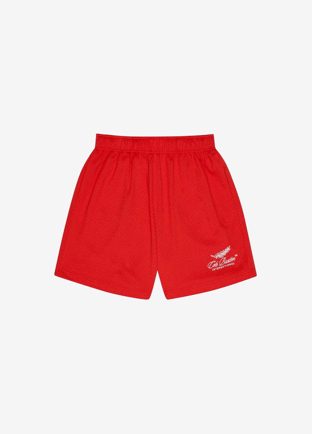 International mesh shorts