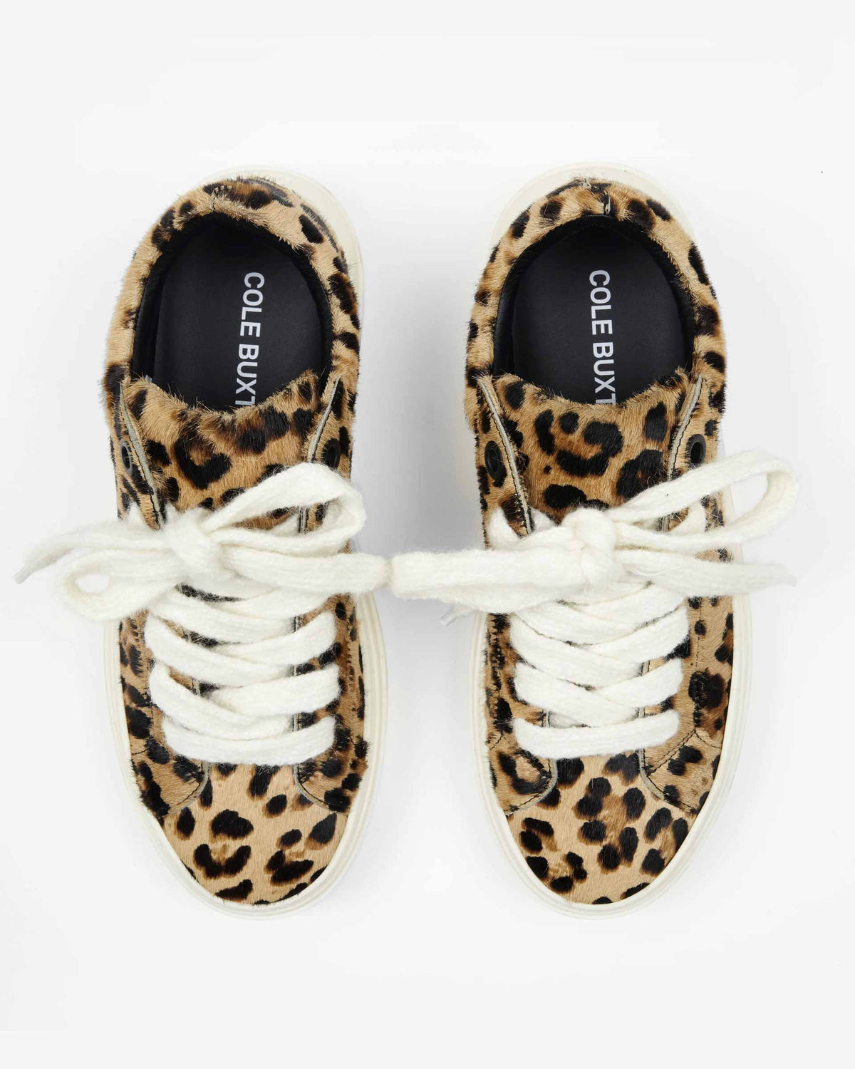 The wilson sneaker